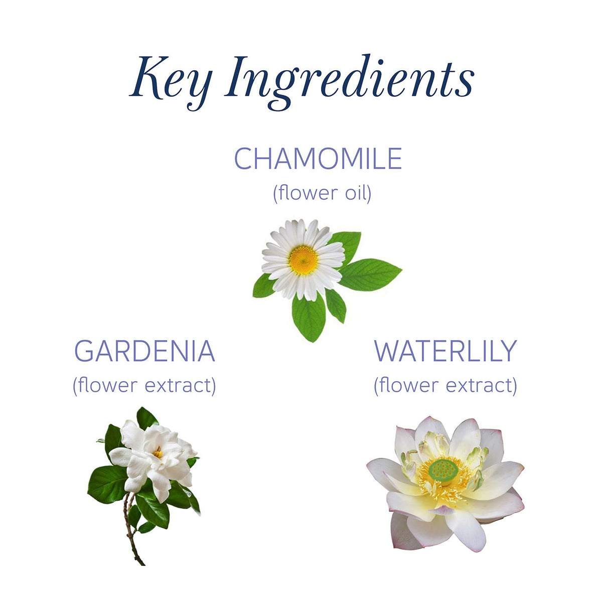 Yardley London Clear Gel Bar Gardenia And Waterlily - With 99% Pure Glycerin And Natural Floral Oils - 125Gx3