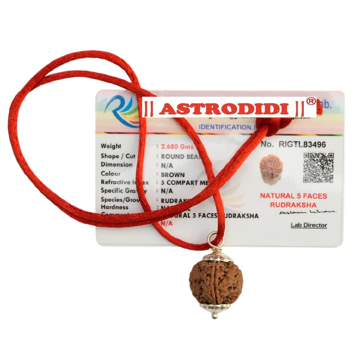 ASTRODIDI 5 Mukhi Rudraksha Original Certified Silver Plated Pendant | Natural Nepali Five Face Rudraksh Bead | Astrological Benefits | Unisex Design for Men & Women