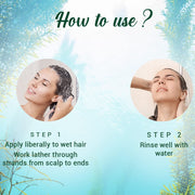 Biotique Ocean Kelp Anti Hairfall Shampoo | Intensive Hair Growth Therapy| Anti Hairfall Shampoo that Maintains Shine |100% Botanical Extracts | Suitable for All Hair Types |340ml
