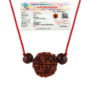 Astrodidi 5 Mukhi Nepali Rudraksha Five Face Rudraksh with Two Red Chandan Beads Lab Certified |Astrological Benefits | Positive Energy (Colour: Brown, Shape: Round)