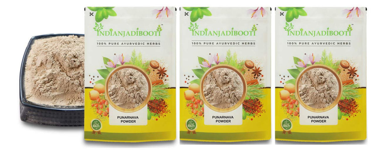 IndianJadiBooti Punarnava Powder Boerhavia Diffusa | Supports Kidney Health & Water Balance | Punarnava Churna For Urinary Wellness & Swelling Relief | With Boerhavia Diffusa Root, 3 Packs of 900 Grams