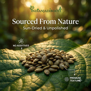IndianJadiBooti Indrayan Beej (Citrullus Colocynthis Seeds) | 100g | Raw Tumba/Hanzal Seeds | Traditional Ingredient for Hair Oil & Massage Blends (Cleaned & Dried)