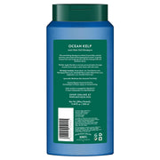 Biotique Ocean Kelp Anti Hairfall Shampoo | Intensive Hair Growth Therapy| Anti Hairfall Shampoo that Maintains Shine |100% Botanical Extracts | Suitable for All Hair Types |340ml