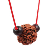 Astrodidi 6 Mukhi Rudraksha | Certified Nepali Six Face Rudraksh with Two Red Chandan Beads in Red Thread with Lab Certificate (Colour: Brown, Shape: Round)