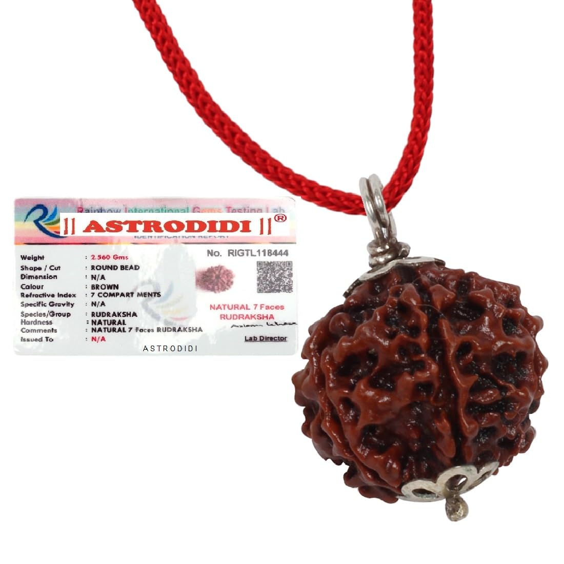 ASTRODIDI 7 Mukhi Rudraksha Pendant with Lab Certified | Nepali Seven Mukhi Original Rudraksh | Astrological Benefits | Unisex Design for Men & Women Boys and Girls