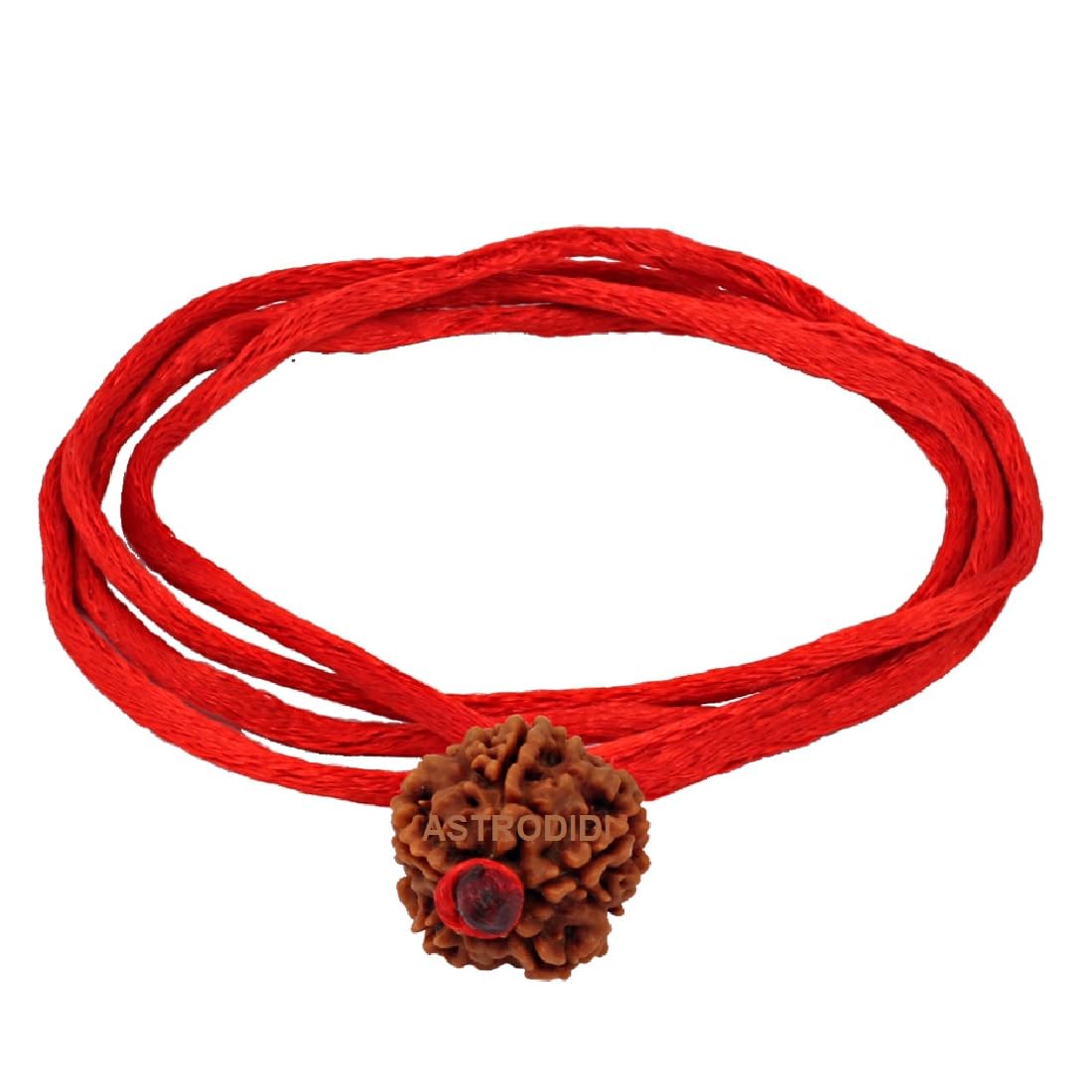 ASTRODIDI Original 5 Mukhi Rudraksha Bead with Red Thread for Daily Wearing | Natural Nepali Five Face Rudraksh Bead | Unisex Design for Men Women Boys and Girls