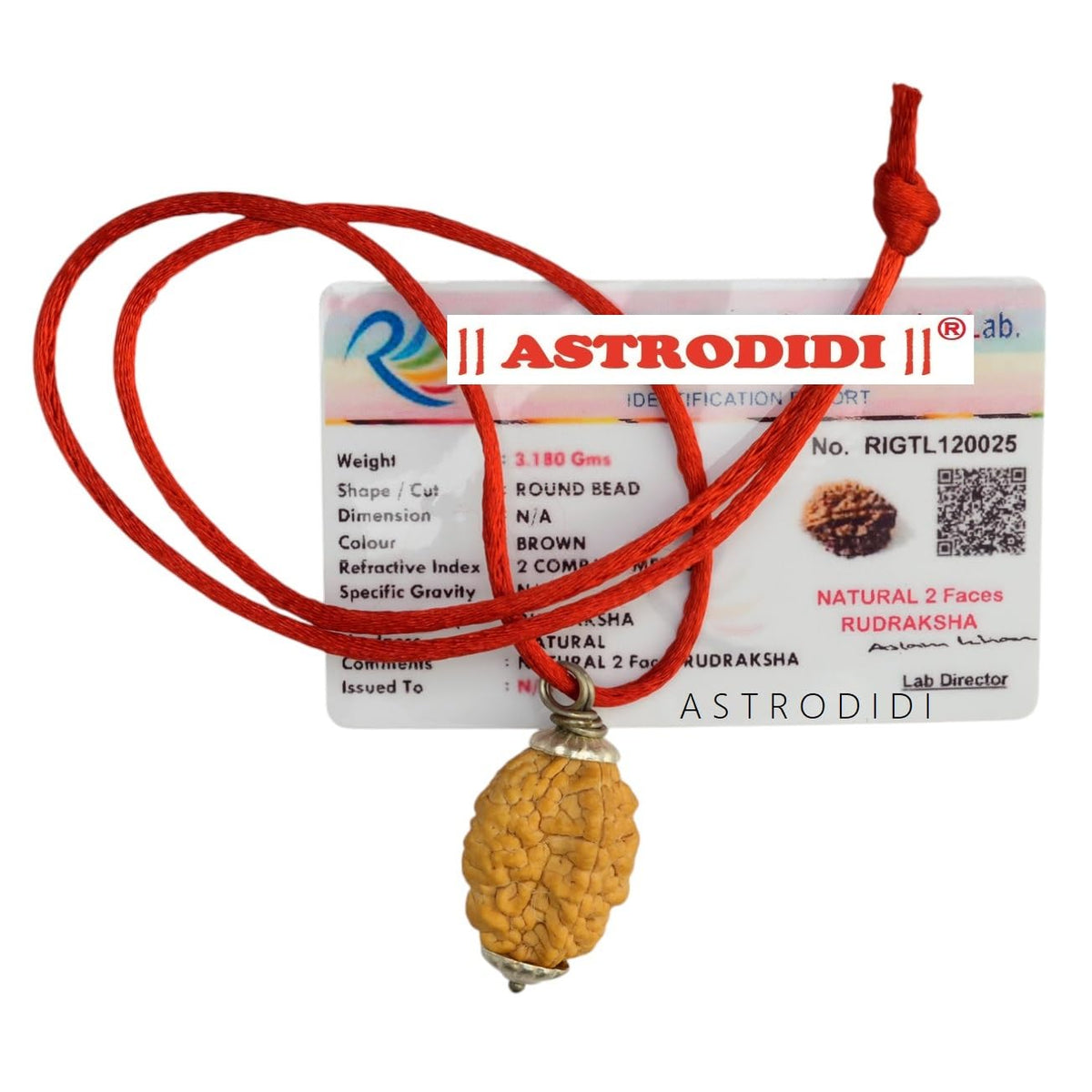 ASTRODIDI 2 Mukhi Rudraksha Original Certified Two Face Silver Coated Pendant | Astrological Benefits and Positive Energy | Unisex Design for Men & Women