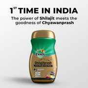 Zandu Shilajitprash | Dual Goodness of Chyawanprash & 2X Shilajit/Shilajeet | Strength, Stamina & 2X immunity* | 450g I 24K Gold Bhasma & 47 Potent Herbs I No added sugar I 100% ayurdevic