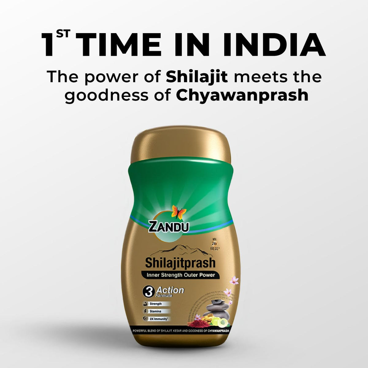 Zandu Shilajitprash, combination of Shilajit and selected herbs of Chyawanpash, a powerhouse of 47 potent Ayurvedic herbs | 3 Action formula to boost strength, stamina & immunity | 900 Gm