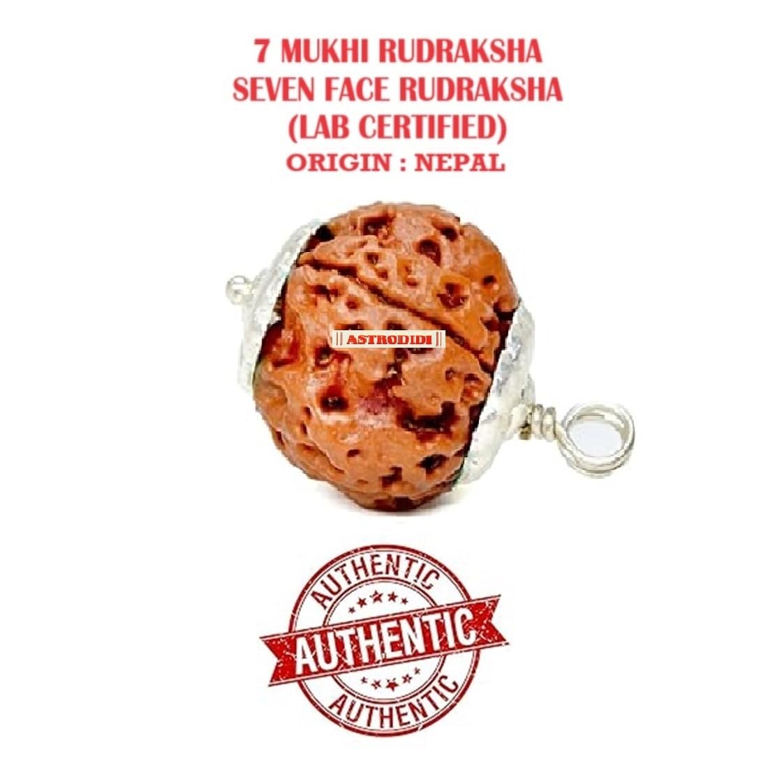 ASTRODIDI 7 Mukhi Rudraksha Original Certified Silver Plated Pendant | Natural Mantra Siddha Nepali Seven Face Rudraksh Bead | Unisex Design for Men & Women (Color: Brown)