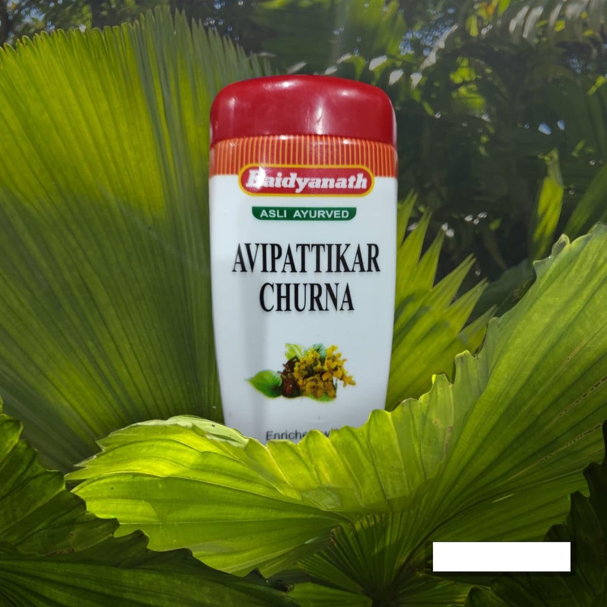 Baidyanath Asli Ayurved Jhansi Avipattikar Churna | Enriched with Laung- Elaichi, Traditional Ayurvedic Formulation | Digestive Relief, Hyperacidity, Flatulence, Bloating | (60 Gram)