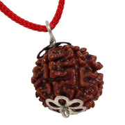 ASTRODIDI 7 Mukhi Rudraksha Pendant with Lab Certified | Nepali Seven Mukhi Original Rudraksh | Astrological Benefits | Unisex Design for Men & Women Boys and Girls
