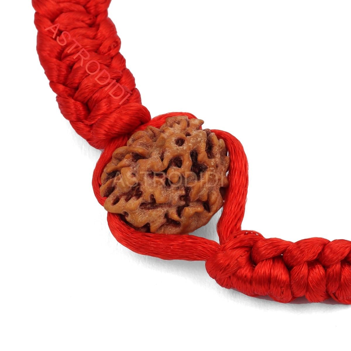 ASTRODIDI 3 Mukhi Rudraksha Beads Bracelet in Red Thread for Daily Wearing | Handmade Original Three Face Rudraksh Bracelet | Unisex Design for Men Women Boys and Girls