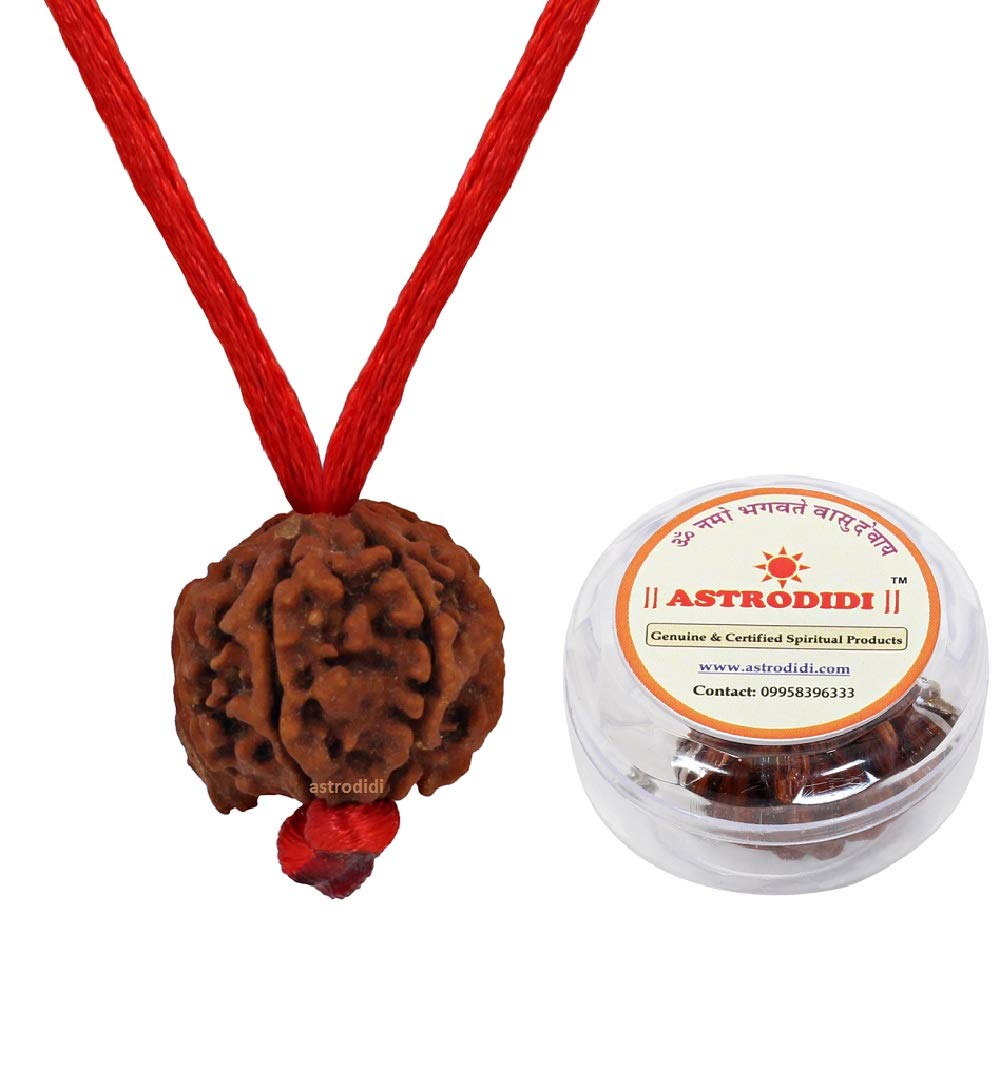 ASTRODIDI Nepali Ganesha Rudraksha with Red Thread for Daily Wearing | Original Certified Natural Nepali Ganesha Rudraksha Trunk Bead | Unisex Design for Men and Women