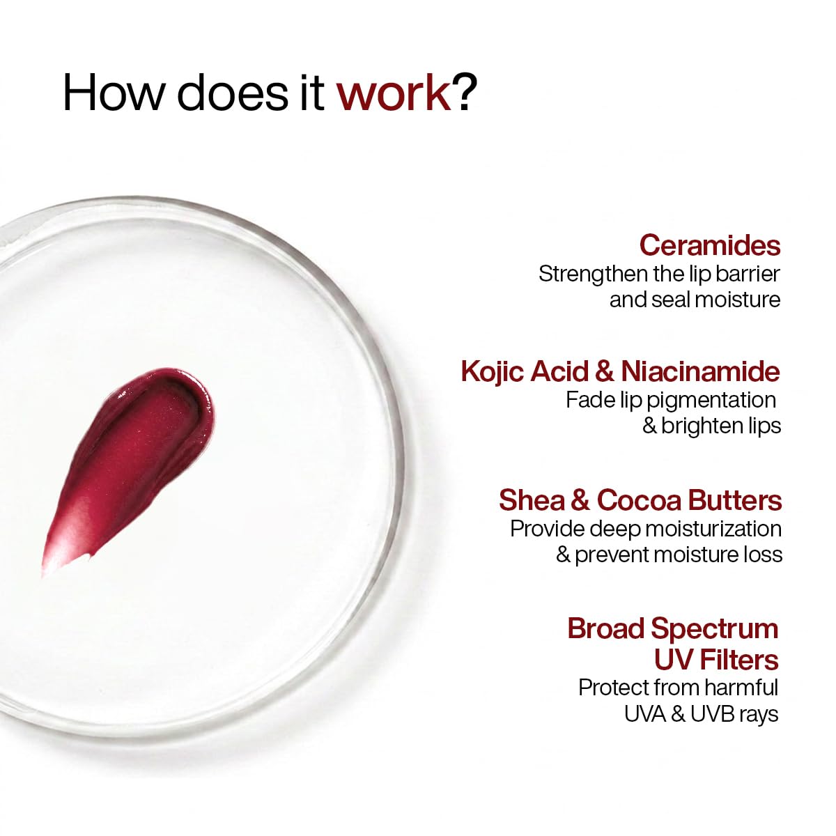 WishCare Tinted Lip Balm with SPF 50 PA+++ | Brightening Lip Balm for Pigmented Dark Lips | In-Vivo Tested | Kojic Acid & Niacinamide | SPF50 Lipbalm for Women | 5g | Blush Red