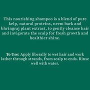 Biotique Ocean Kelp Anti Hair Fall Shampoo Intensive Hair Growth Therapy, 340ml (Pack of 2)