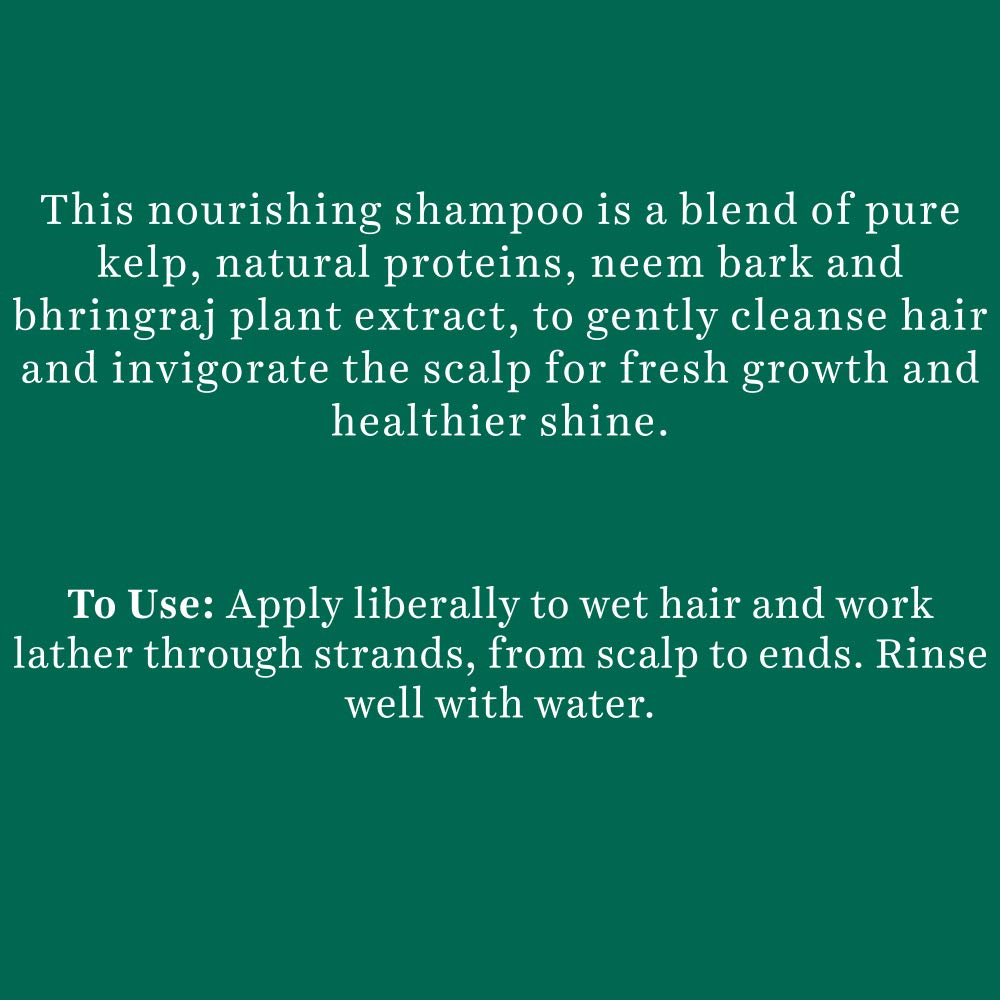 Biotique Ocean Kelp Anti Hair Fall Shampoo Intensive Hair Growth Therapy, 340ml (Pack of 2)