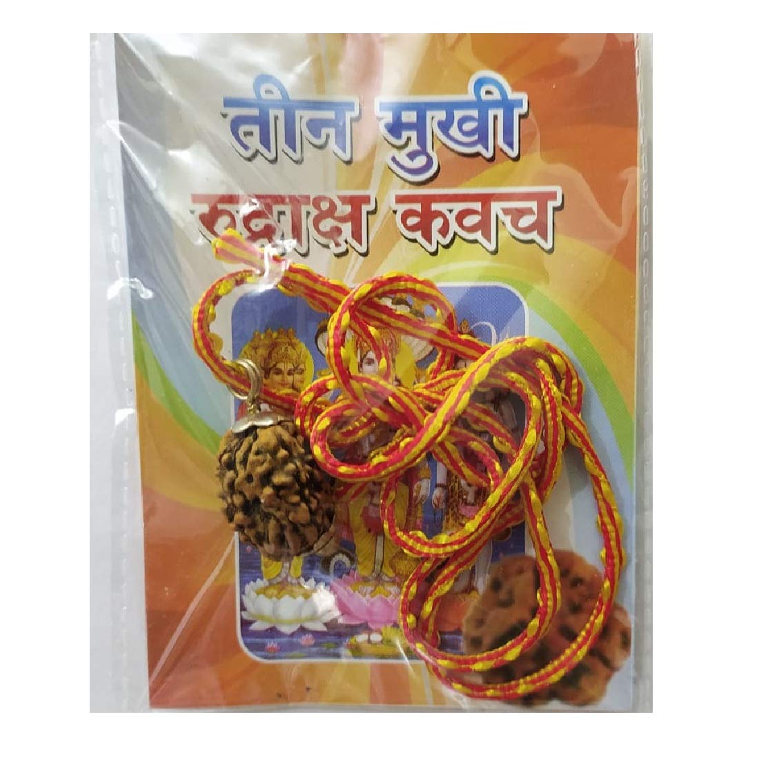 ASTRODIDI 3 Mukhi Rudraksha Kawach 3 Face Pendant (Brown)