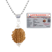 ASTRODIDI 2 Mukhi Rudraksha/Two Face Rudraksh Silver Coated Pendant with Chain for Men and Women | Lab Certified Orginal and Natural Rudraksha