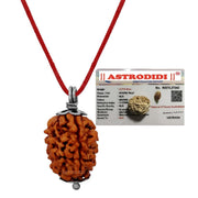 ASTRODIDI 3 Mukhi Rudraksha Pendant with Lab Certified | Original and Natural Three Face Rudraksha | Astrological Benefits | Unisex Design for Men & Women Boys and Girls