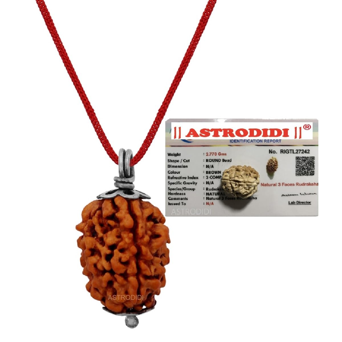 ASTRODIDI 3 Mukhi Rudraksha Pendant with Lab Certified | Original and Natural Three Face Rudraksha | Astrological Benefits | Unisex Design for Men & Women Boys and Girls