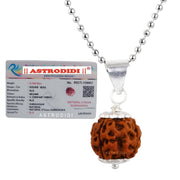 ASTRODIDI Nepali 4 Mukhi Rudraksha Pendant with Lab Report | Certified Natural Four Face Rudraksh with White Metal Capping and Chain for Men and Women (Colo: Brown)