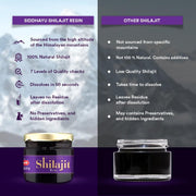 Baidyanath Asli Ayurved Himalayan Shilajit/Shilajeet Resin 20gm - 100% Ayurvedic | Performance Booster For Endurance and Stamina