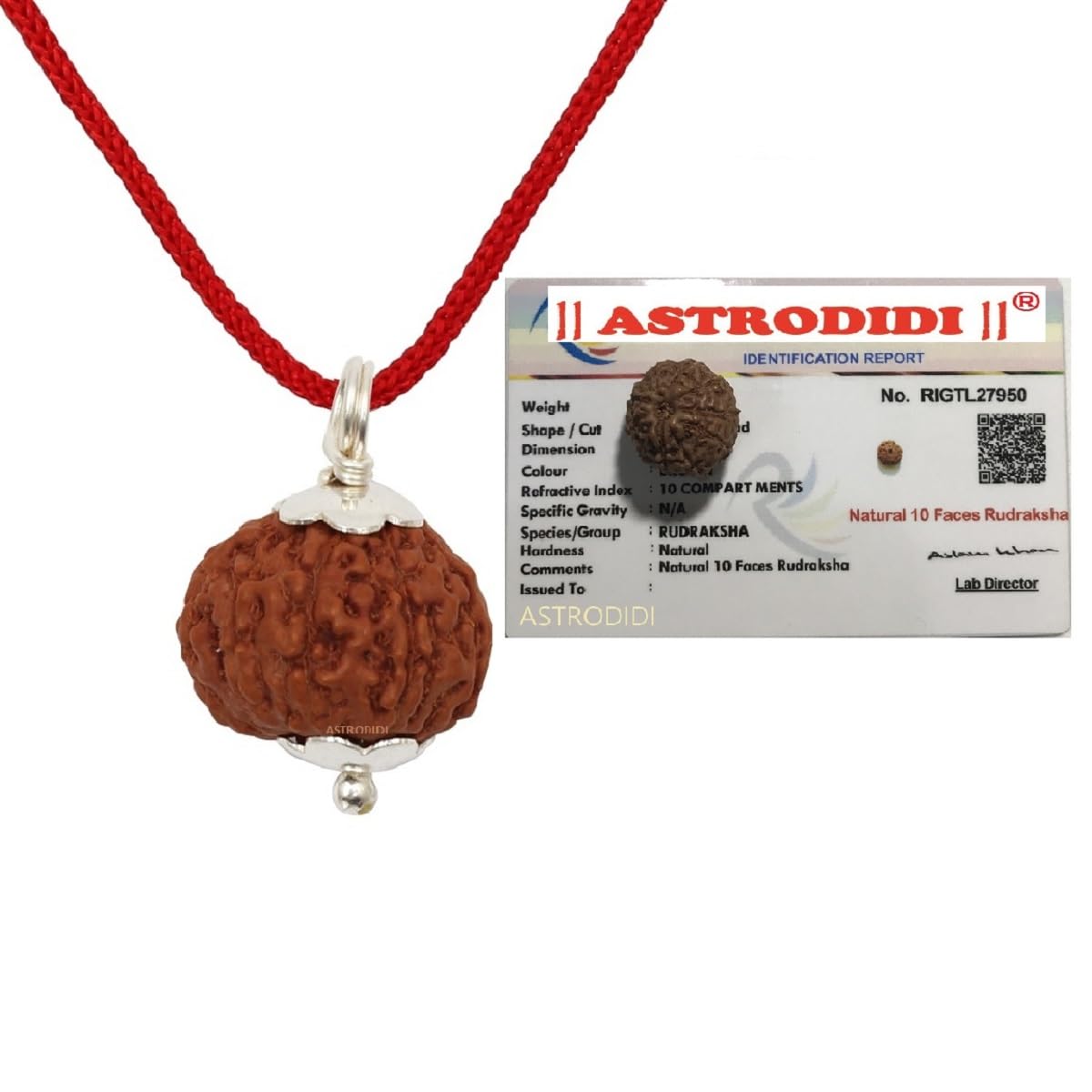 ASTRODIDI 10 Mukhi Rudraksha Original Certified Java (15-16 mm) Ten Face Small Size Silver Coated Pendant with Lab Report | Astrological Benefits | Unisex Design for Men & Women