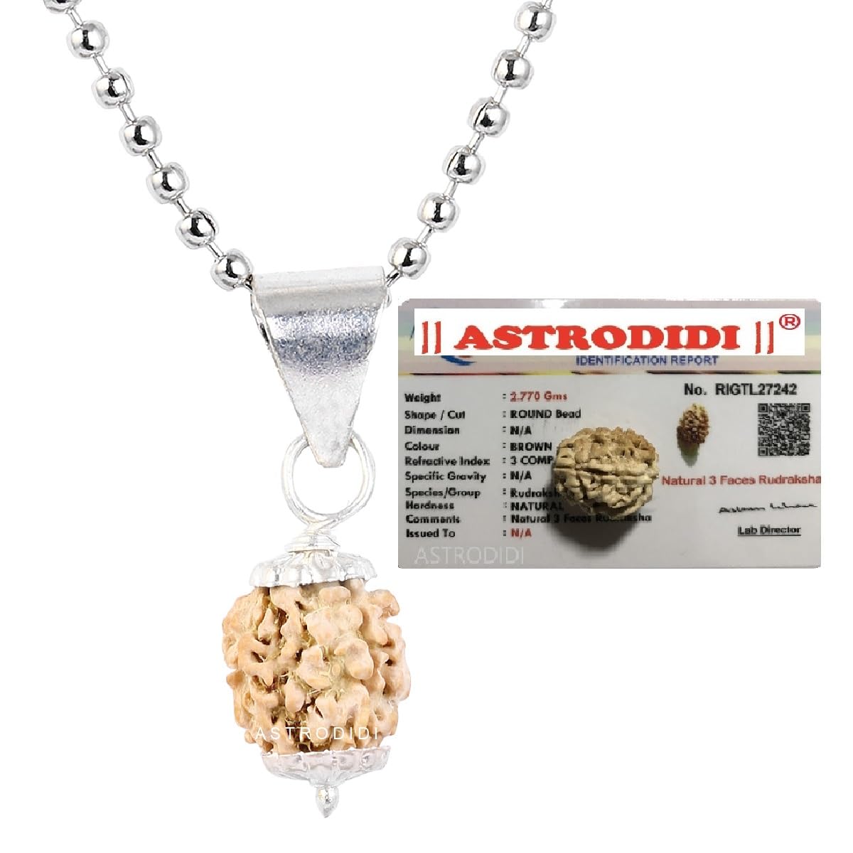 ASTRODIDI 3 Mukhi Rudraksha Pendant with Lab Report | Certified Natural Three Face Rudraksha with White Metal Capping and Chain for Men and Women (Colo: Brown)