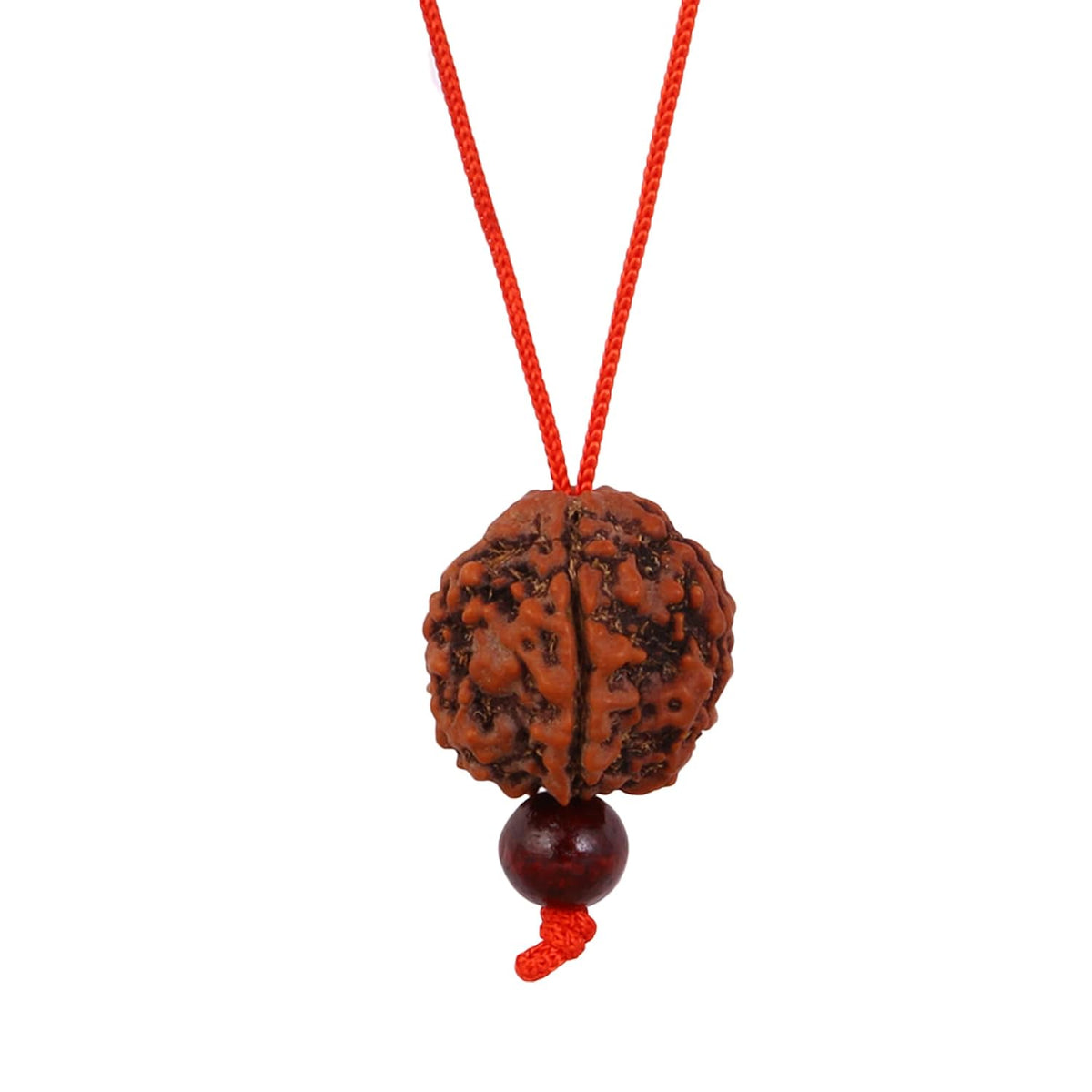 ASTRODIDI Certified Nepali 5 Mukhi Rudraksha in Red Thread Lal Dhaga Pendant Locket | Original Five Face Rudraksh Natural 5 faced Rudraksha (Brown) for Men Women Boys and Girls