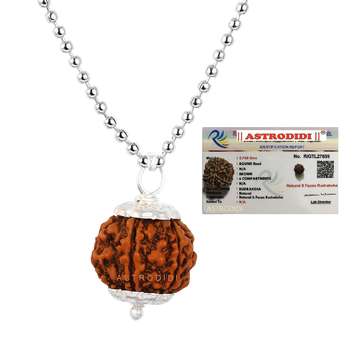 ASTRODIDI Nepali 6 Mukhi Rudraksha Pendant with Lab Report | Certified Natural Six Face Rudraksh with White Metal Capping and Chain for Men and Women (Colo: Brown)