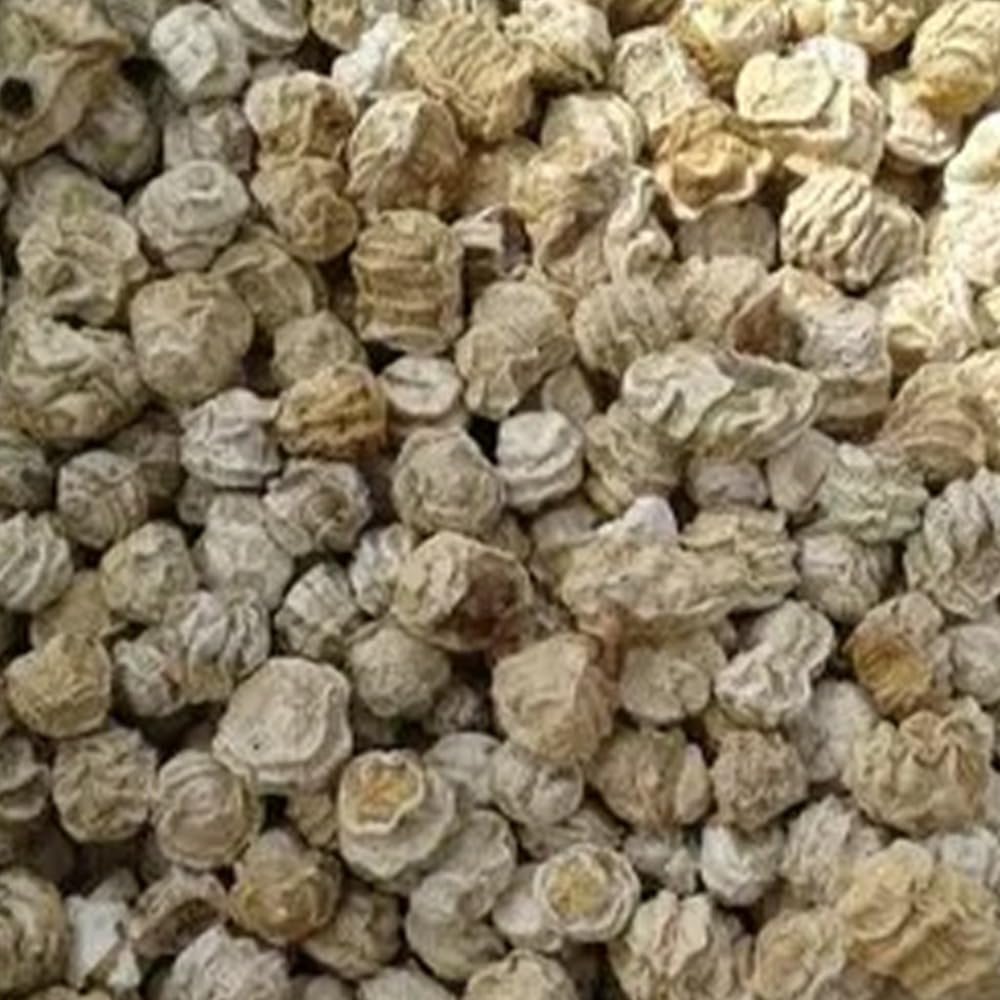 NatureVit Whole Dried Kachari, 400g | Rajasthani Kachari | Kachari Sabut | Sundried Marwari Kacher