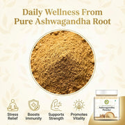 NatureVit Ashwagandha Root Powder | No Added Preservative | Helps Fight Anxiety and Stress | Ashwagandha Podi/Amukkara Kizhangu/Asvagandha Churna (250g [Jar Pack])