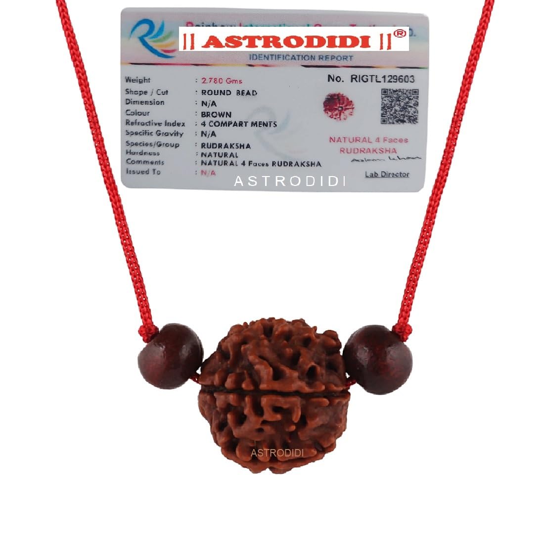 Astrodidi 4 Mukhi Rudraksha | Certified Nepali Four Face Rudraksh with Two Red Chandan Beads in Red Thread with Lab Certificate (Colour: Brown, Shape: Round)
