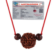 Astrodidi 4 Mukhi Rudraksha | Certified Nepali Four Face Rudraksh with Two Red Chandan Beads in Red Thread with Lab Certificate (Colour: Brown, Shape: Round)