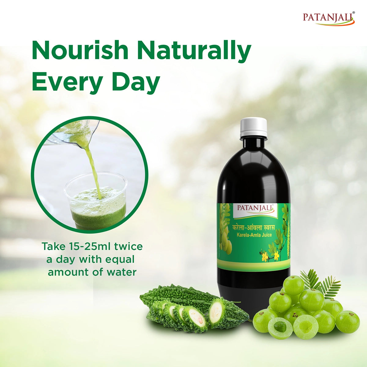 Patanjali Karela Amla Juice