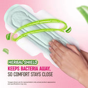 Sofy AntiBacteria XL - 290mm | 48 Count pads | For Women Sanitary Pads | Keep Skin Dry | 6 Layer Deep Absorption | Herbal Shield | Hygiene & Herbs