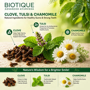 Biotique Clove & Tulsi Complete Care Toothpaste - 100% Pure & Natural Ayurvedic Treatment for Gums & Teeth - 140gm (Pack of 2)