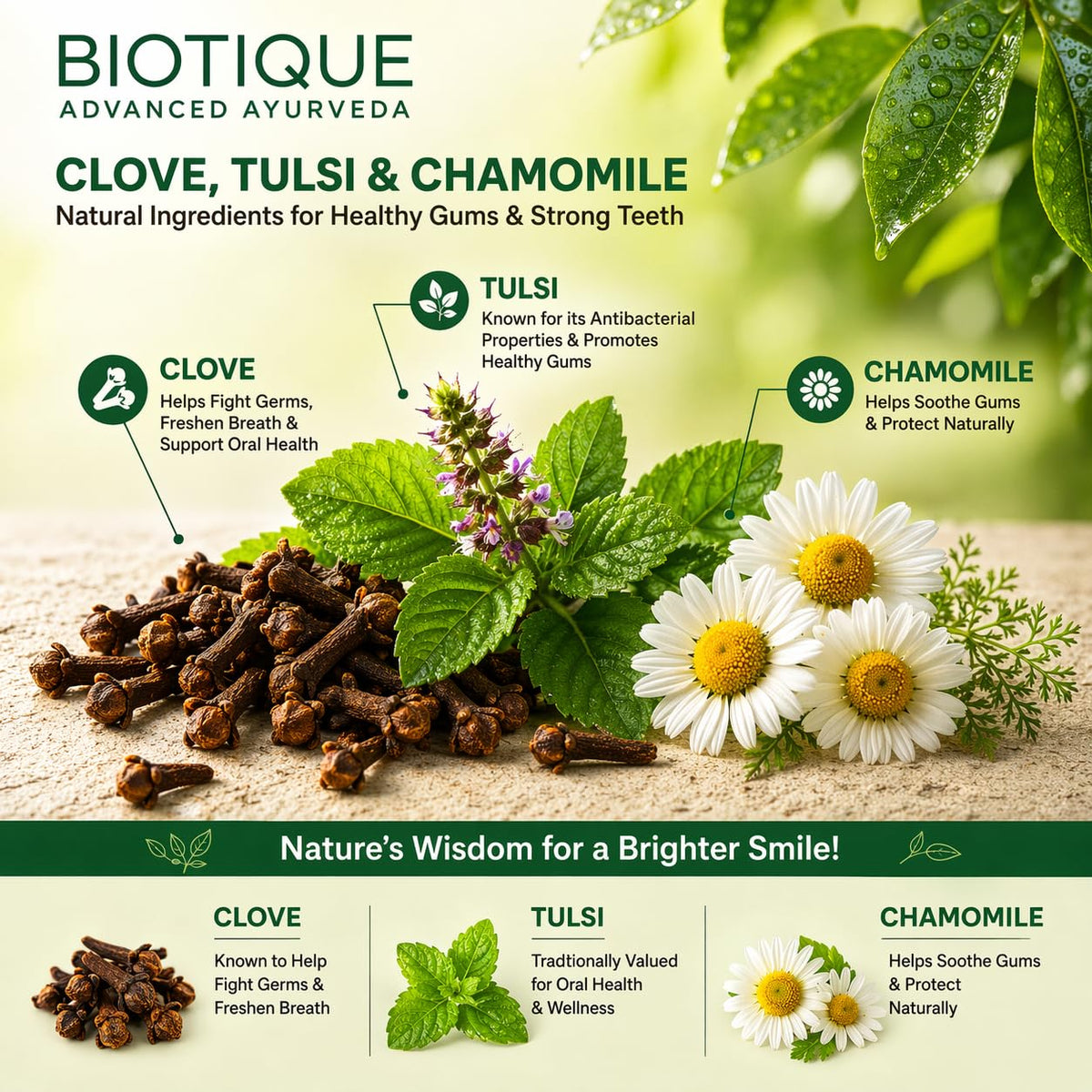 Biotique Clove & Tulsi Complete Care Toothpaste - 100% Pure & Natural Ayurvedic Treatment for Gums & Teeth - 140gm (Pack of 3)