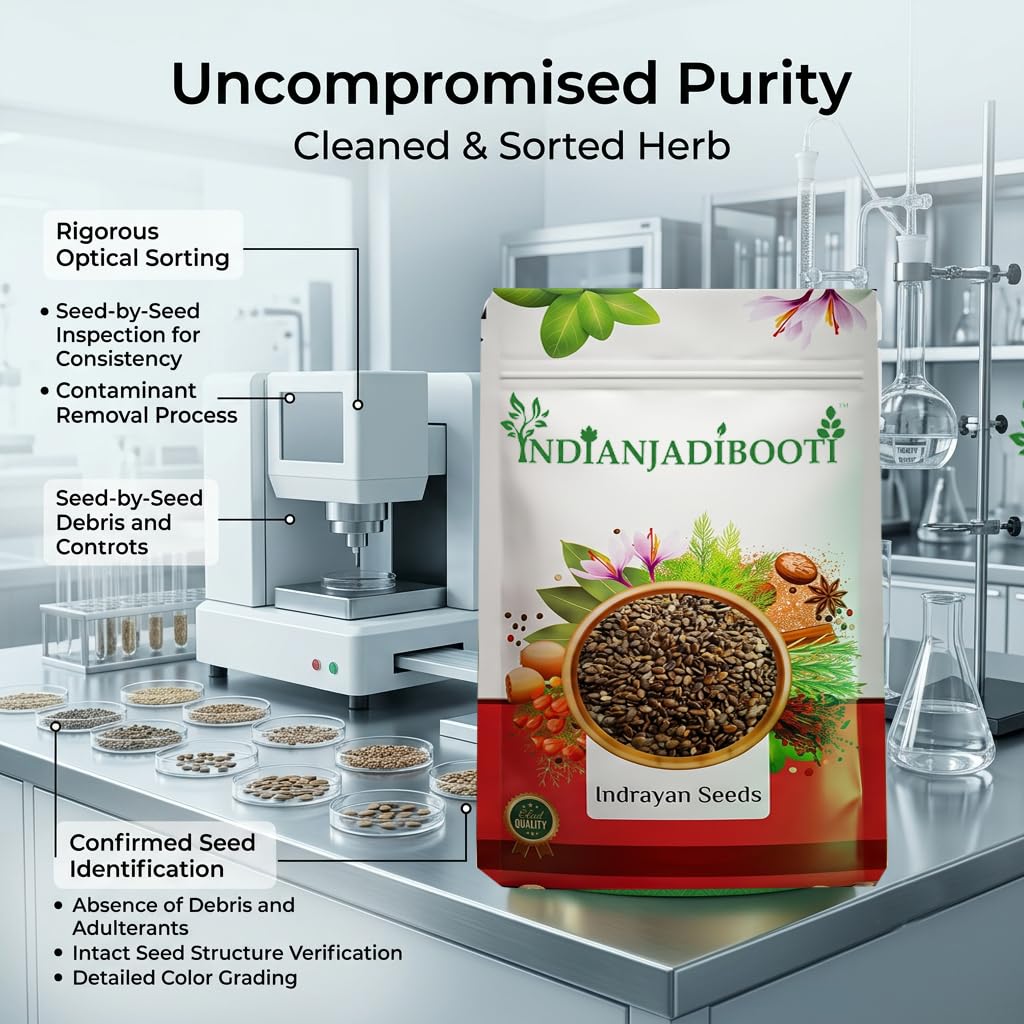 IndianJadiBooti Indrayan Beej (Citrullus Colocynthis Seeds) | 100g | Raw Tumba/Hanzal Seeds | Traditional Ingredient for Hair Oil & Massage Blends (Cleaned & Dried)