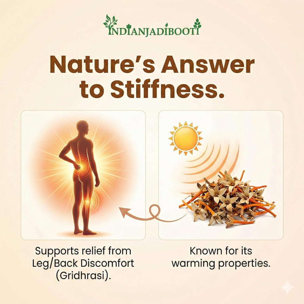 IndianJadiBooti Pure Harshringar Flowers (Parijat) | Nyctanthes Arbor-Tristis | Premium Ayurvedic Herb for Joint Mobility & Soothing Herbal Tea | 100% Raw Jadi Booti | FSSAI Licensed (50g)