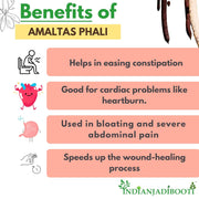 IndianJadiBooti Pure Amaltas Phali (Cassia Fistula) | Traditional Botanical for Gastrointestinal Harmony, Systemic Detox & Pitta Balance | 400g Pack of 2