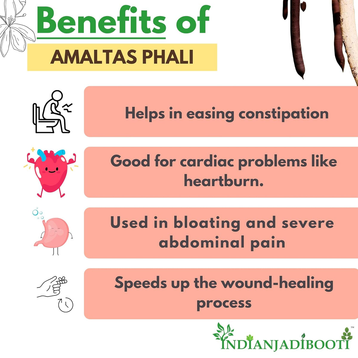 IndianJadiBooti Pure Amaltas Phali (Cassia Fistula) | Traditional Botanical for Gastrointestinal Harmony, Systemic Detox & Pitta Balance | 400g Pack of 2
