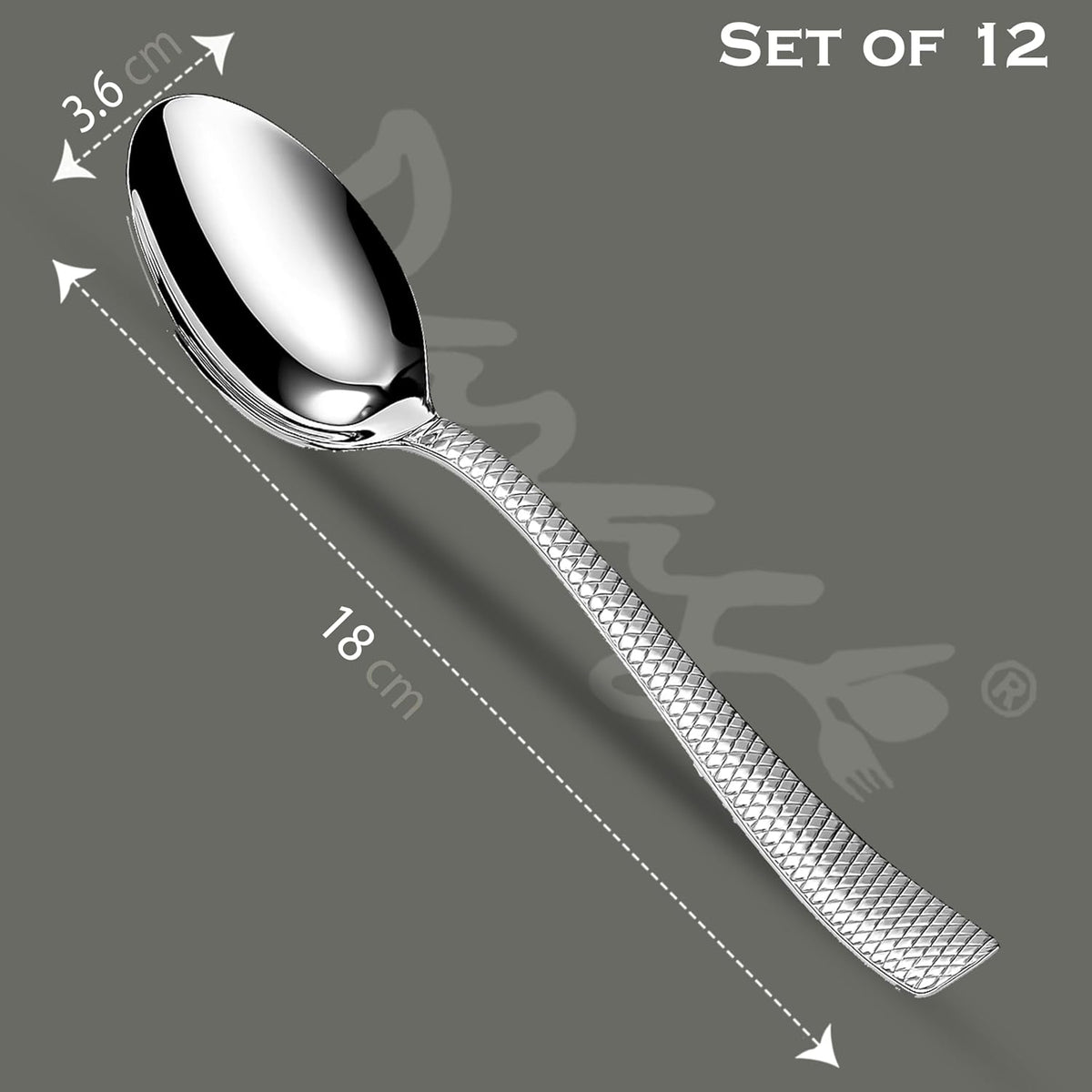Parage Stainless Steel Dinner Spoons Set of 12, 16 cm, Silver, Mirror Finish