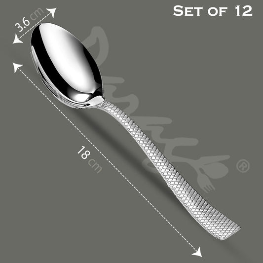 Parage Stainless Steel Dinner Spoons Set of 12, 16 cm, Silver, Mirror Finish