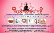 RUDRADIVINE Brown Crystal Makar Rashi Yantra Sobhagya Kavach Pendant for Capricornus Zodiac with 5 Faced Rudraksha for Men and Women