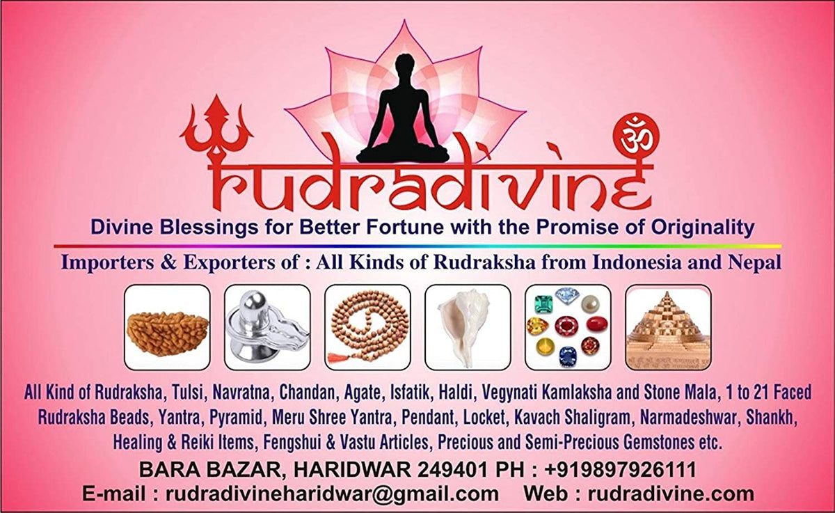 RUDRADIVINE Brown Crystal Makar Rashi Yantra Sobhagya Kavach Pendant for Capricornus Zodiac with 5 Faced Rudraksha for Men and Women