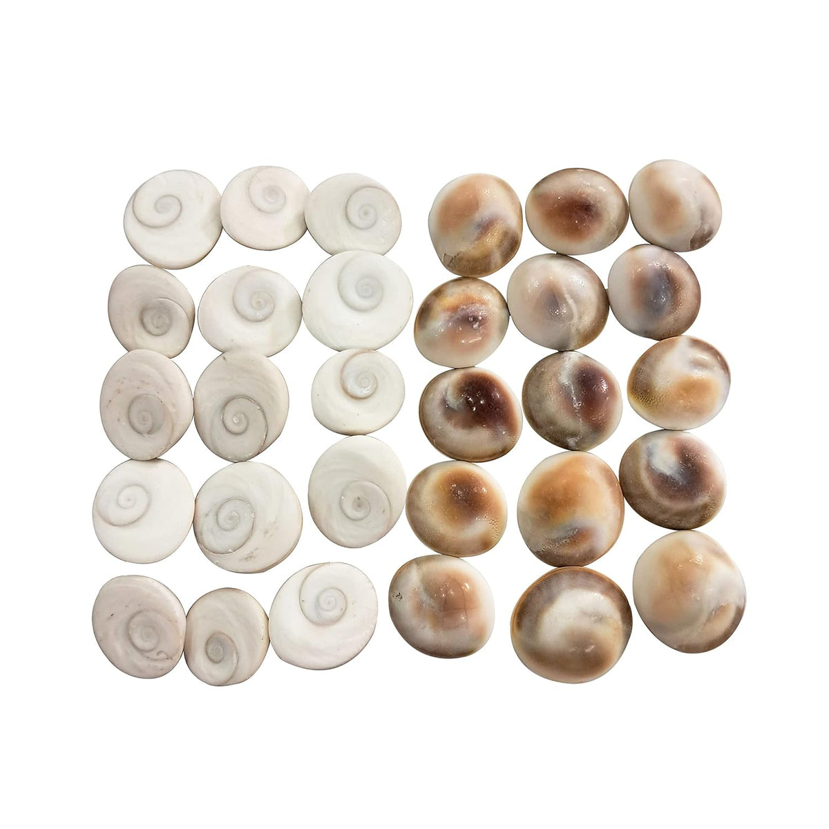 BrijBooti Gomati Chakra 108 Pieces - Stoneware Gomti Chakra - Sudarshan Chakra - Natural Gomti Chakra