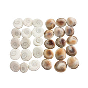 BrijBooti Gomati Chakra 108 Pieces - Stoneware Gomti Chakra - Sudarshan Chakra - Natural Gomti Chakra