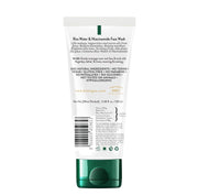Biotique Rice Water & Niacinamide Gel Face Wash Removes Excess Oils & Reduce Blemishes of the Skin | Glass Skin | For Men & Women - 100ml